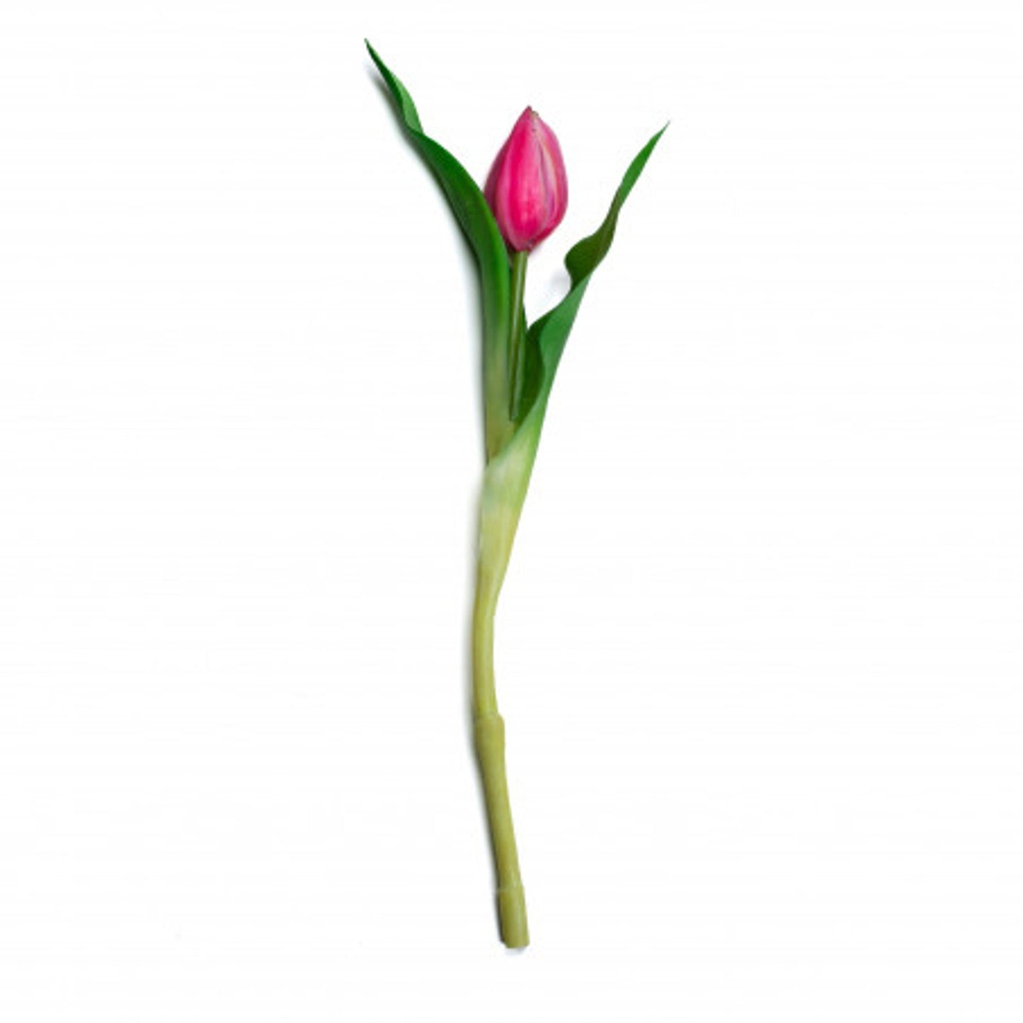 Tulipano fucsia 42 cm con foglie realistiche