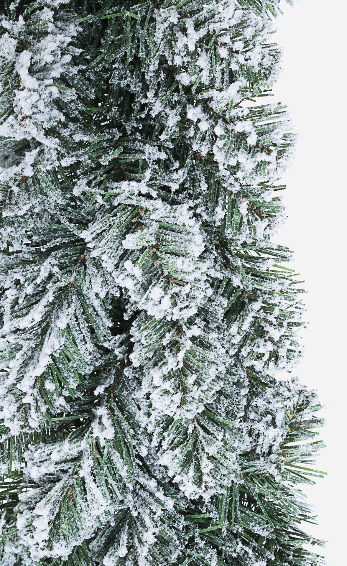 Crown Innsbruck Nevado D75