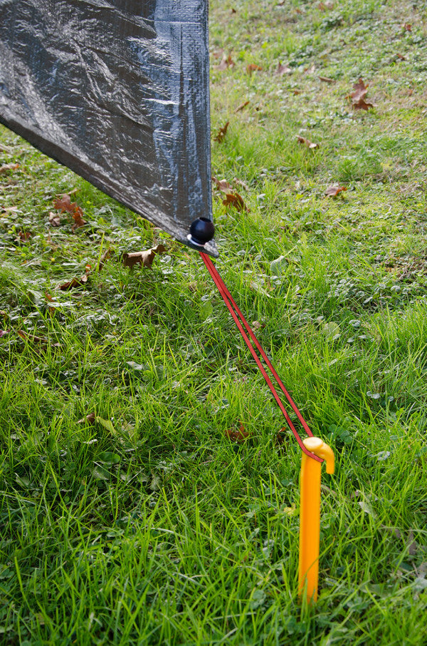 Elasticos para Tendedero 16x5x1 cm