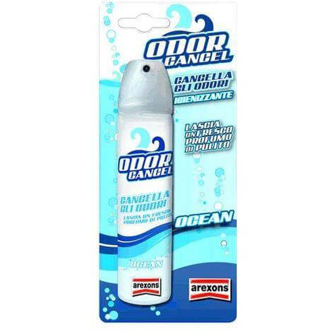 Desinfektionsspray für Autos „Odor Cancel“ Duft „Ocean“