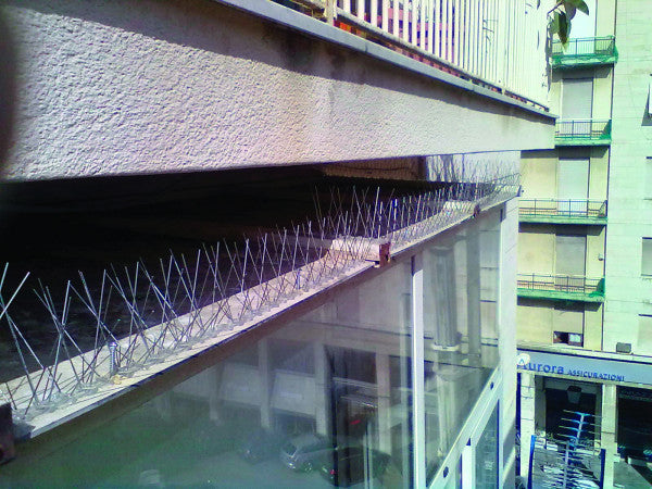 Dispositivo disuasorio de acero inoxidable para aves 100x2,7 cm