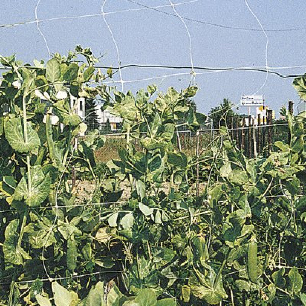 Red para trepadoras RAMPY 1.2x100 cm