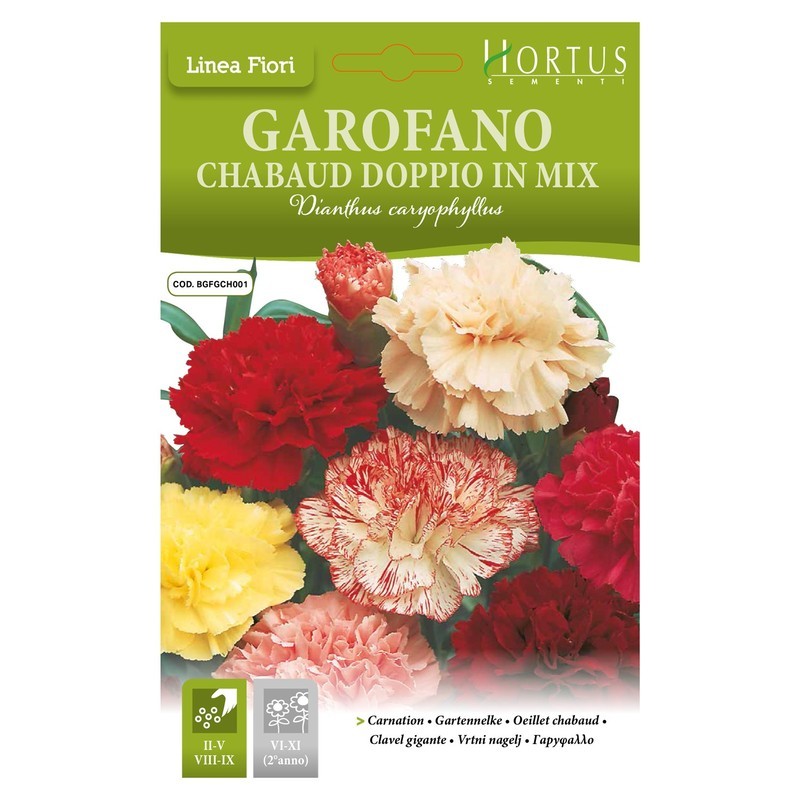 Double Chabaud carnation in DB mix
