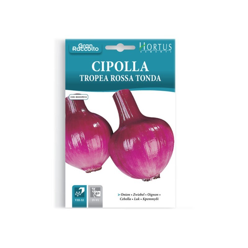 Round red Tropea onion Gran Raccolto