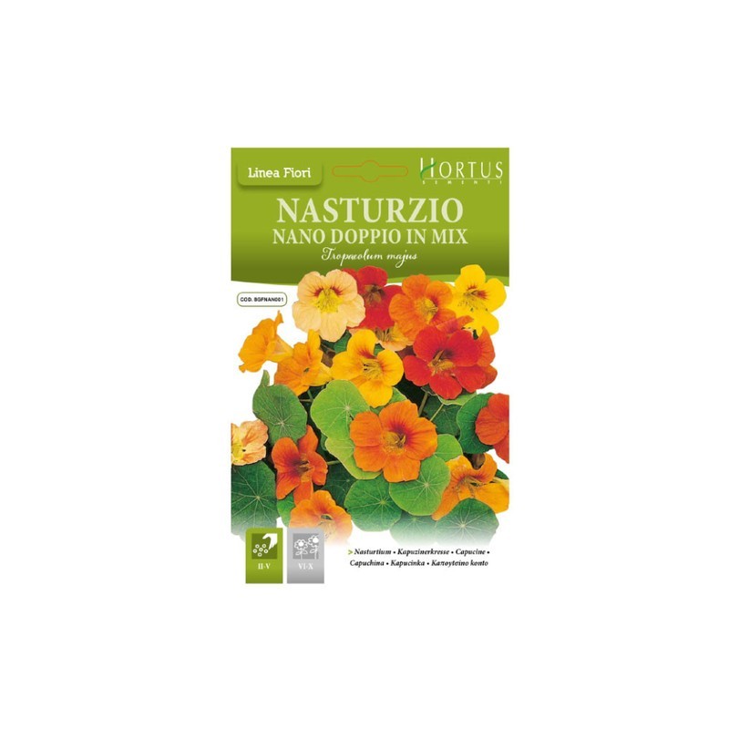 Nasturtium Dwarf Double mix DB