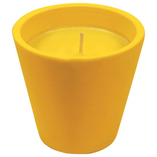 Caribe-Terrakotta-Glas mit Zitronengras