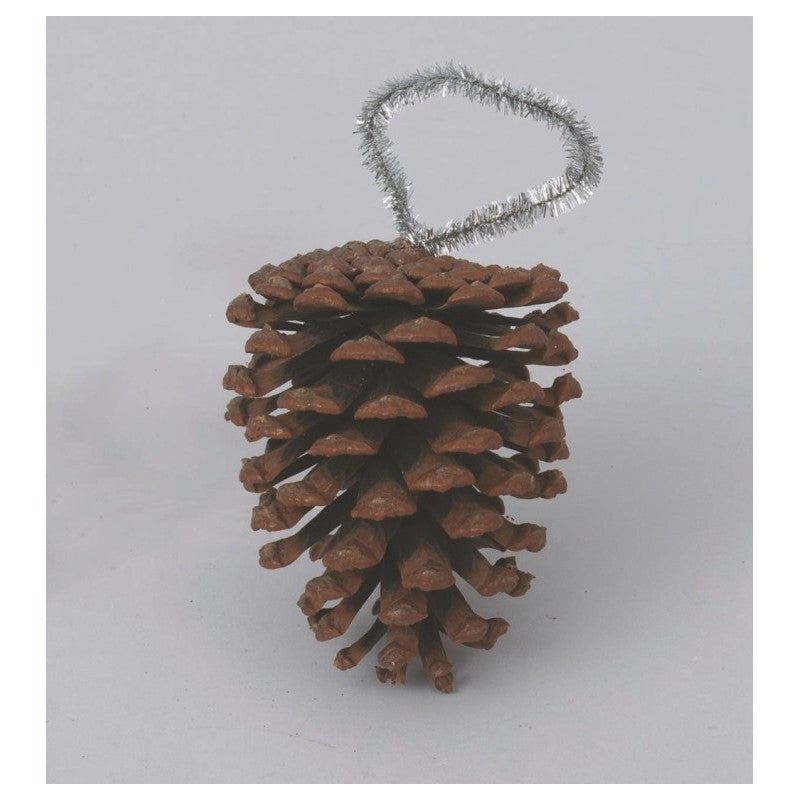 Pigna naturale decorativa H10 cm con gancio