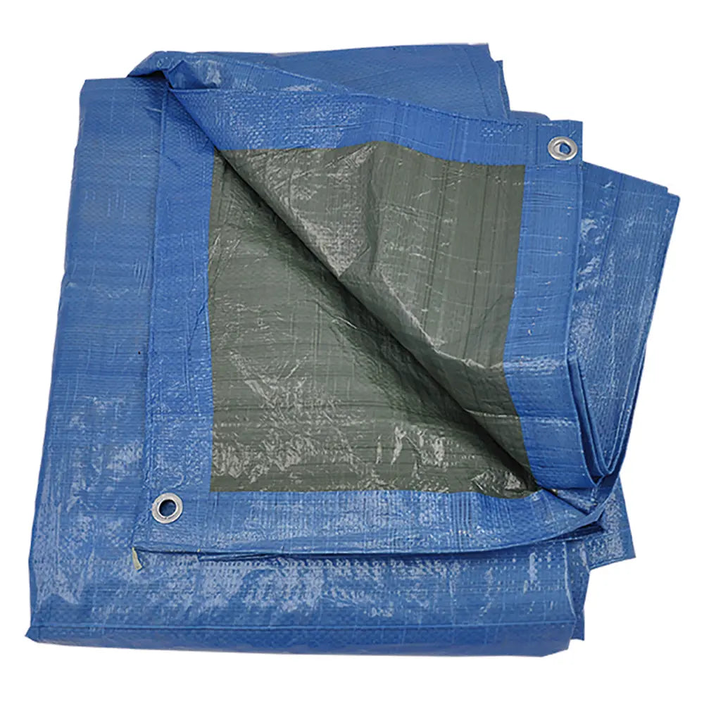 Blau/grünes Ösenblatt 2x3 m