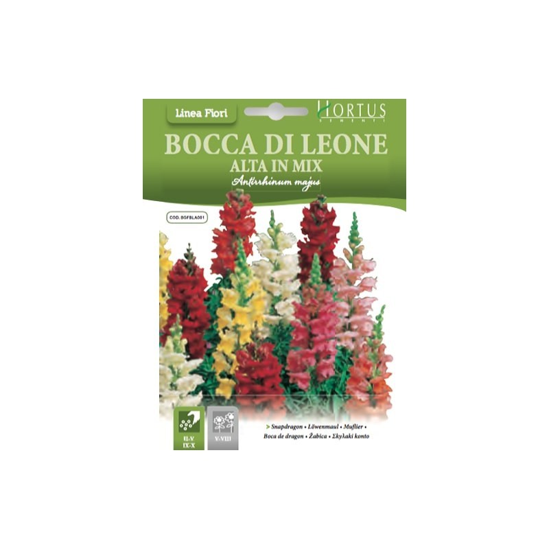 Mezcla de alta boca de dragón DB