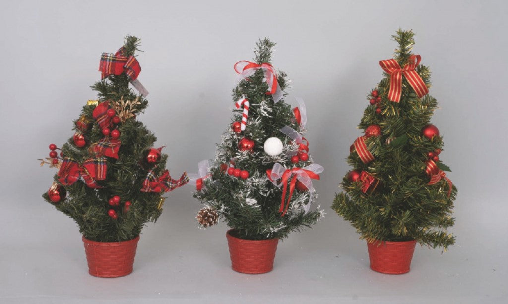 Alberino con vaso rosso 50 x 50 cm