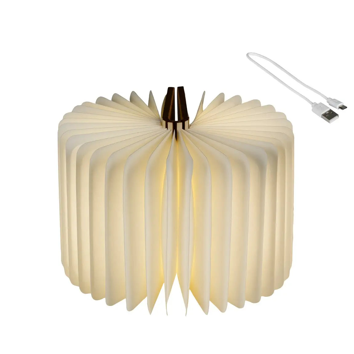 Lampada libro con LED 12 × 17,5 × H8,5 cm