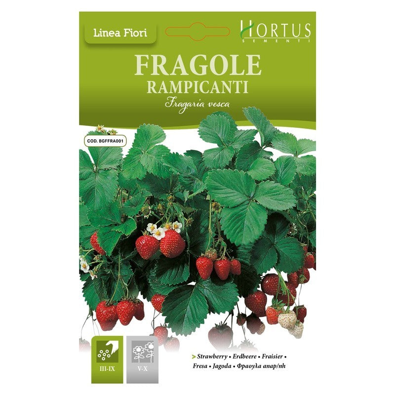 Fresas trepadoras DB