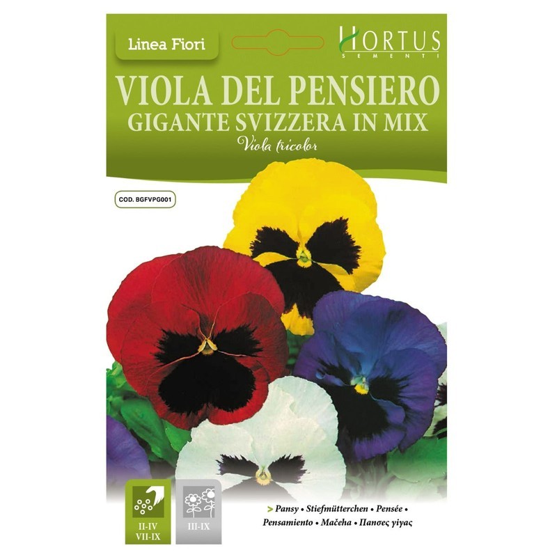 Violadel Pensiero Gigante Suiza mezcla DB