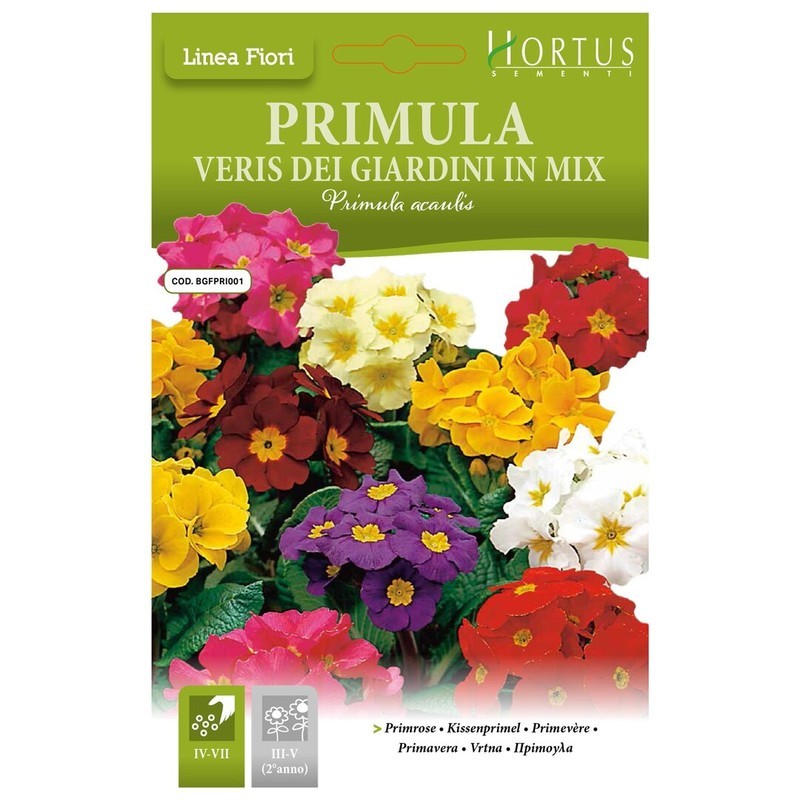 Primula veris Mezcla de jardín DB