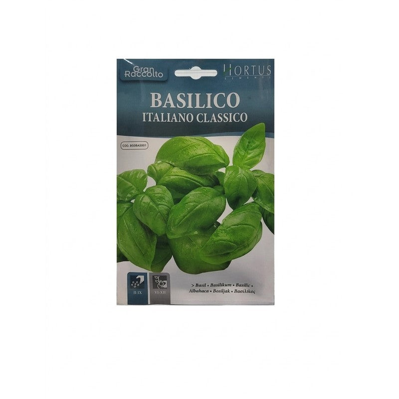 Albahaca italiana clásica Gran Raccolto