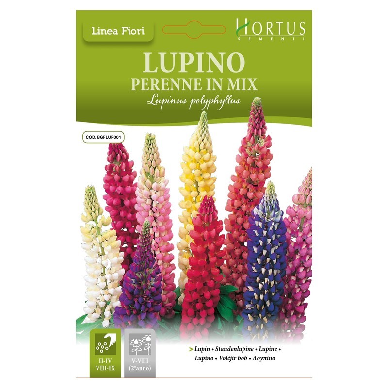 Mehrjährige Lupine im DB-Mix