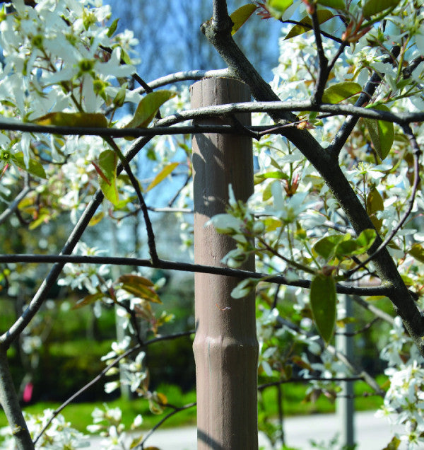 Plastikrohr ø 27mm Länge 210 cm für Pflanzenstütze und -führung