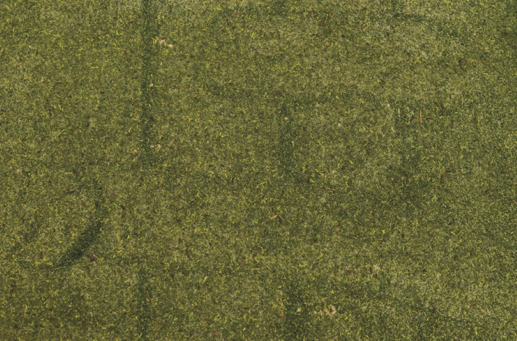 Carta con muschio naturale 50x70 cm