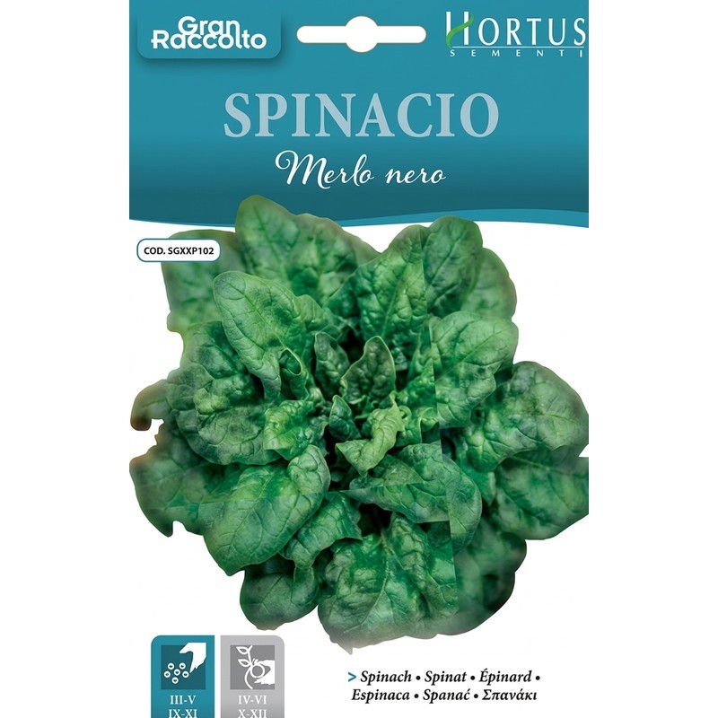 Gran Cosecha De Espinacas Mirlo