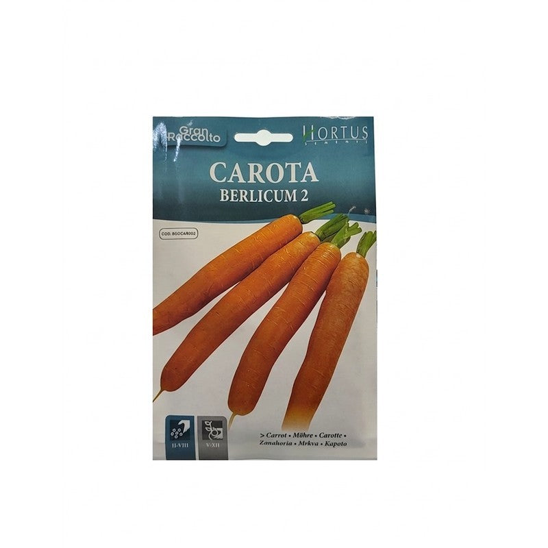 Carrot Berlicum 2 Great Harvest