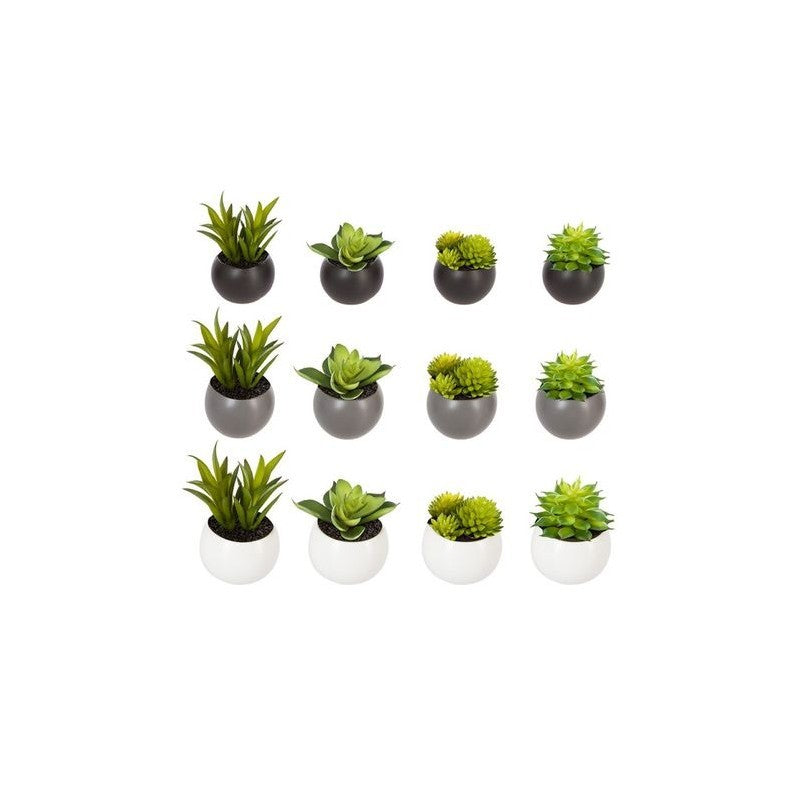 Planta suculenta D6 cm con maceta magnética