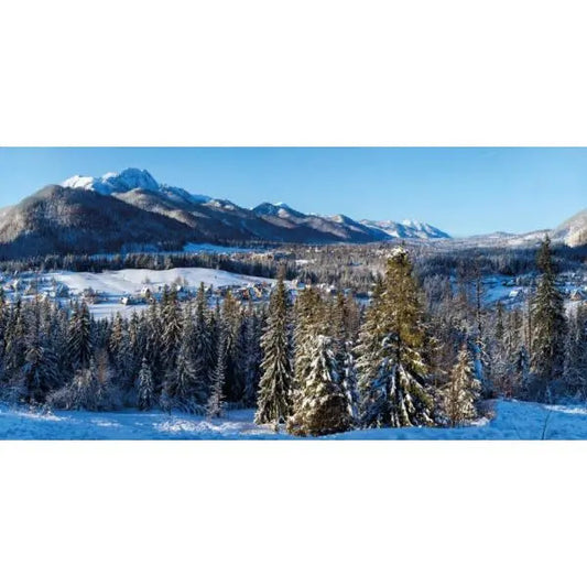 Poster maxi in tela tessuto Winter Village 300x150 cm