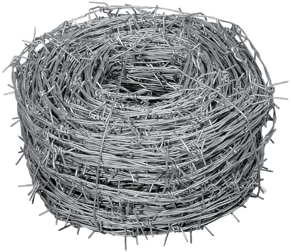 Filo Zincato Spinato 100mt per Giardinaggio e Fai da Te