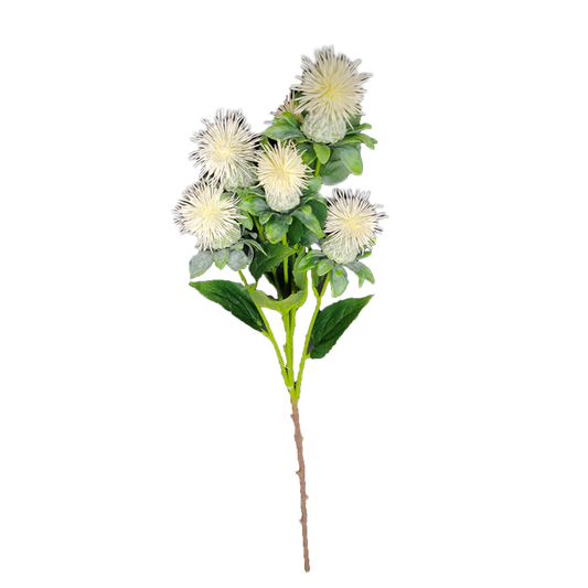 Cártamo 79 cm blanco