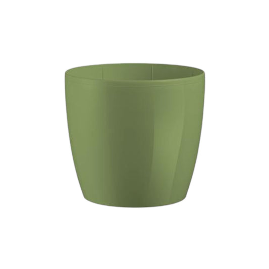 Vaso Madeira 14 Olive