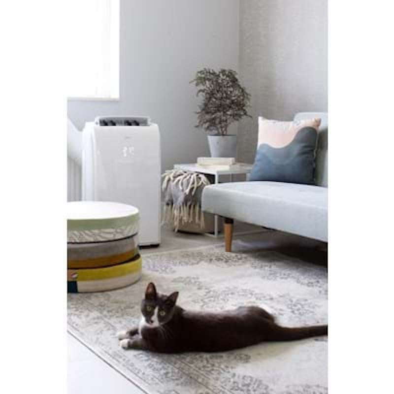 Aire acondicionado portátil - deshumidificador P522