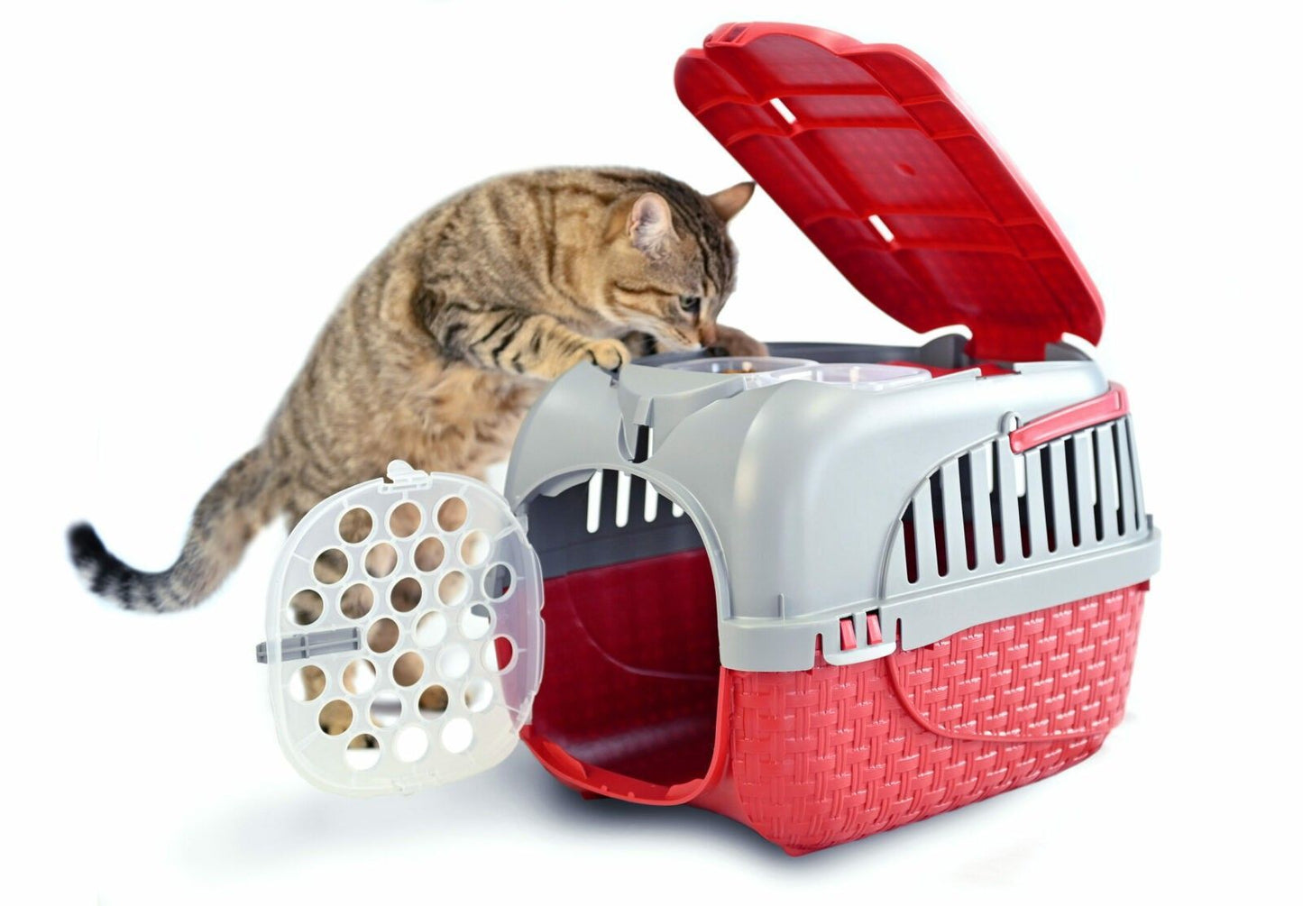 Transportbox Tour Bordeaux 52x33 cm - Ideal für kleine Hunde, Katzen und Kaninchen