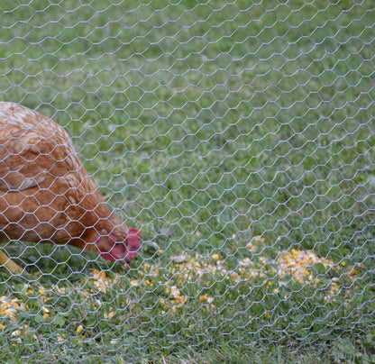 Malla Metálica Galvanizada Hexagonal - H. 100 Ø 12 - Malla 16 mm