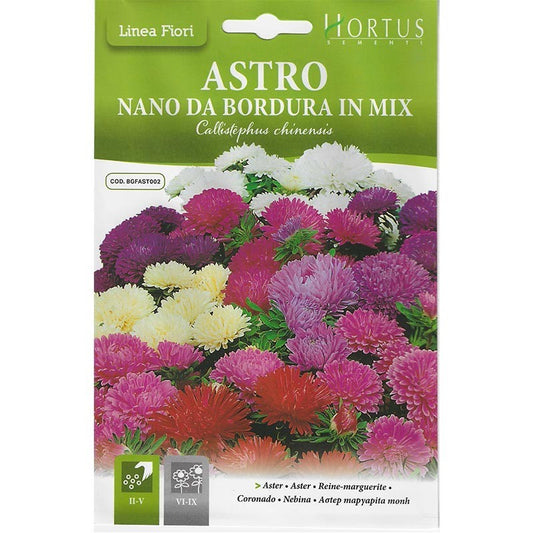 Dwarf border aster mix DB