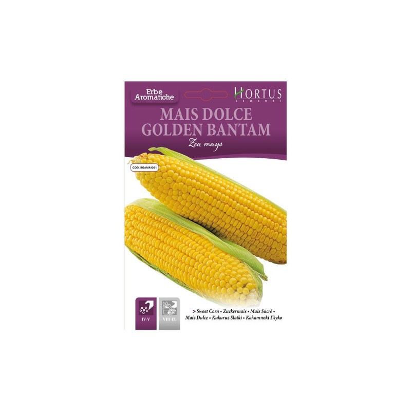 Maíz dulce Golden Bantam DB