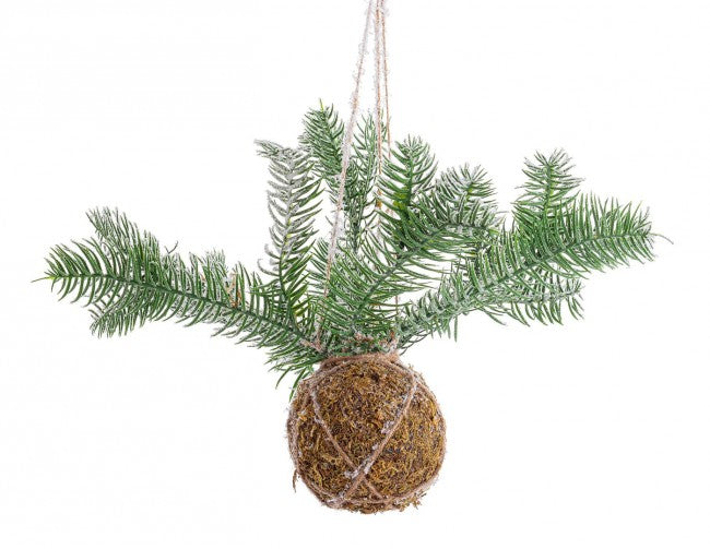 Decorazione Sfera Kokedama con pino Ø 58 cm