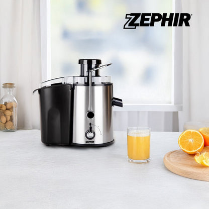 Professional steel juicer for fruit and vegetables