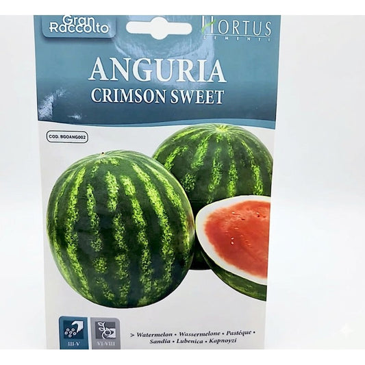 Watermelon Crimson Sweet Great Harvest