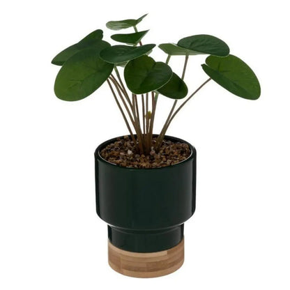 Planta artificial con maceta verde las 26 horas del día.