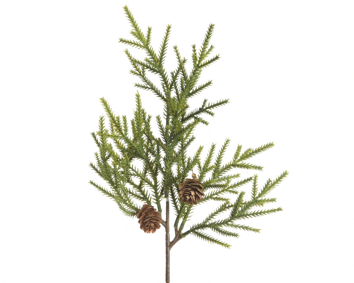 Green pine branch with pine cones 5x22x38