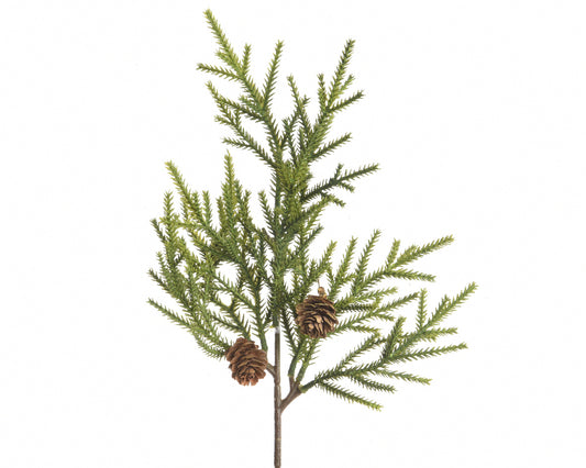 Green pine branch with pine cones 5x22x38