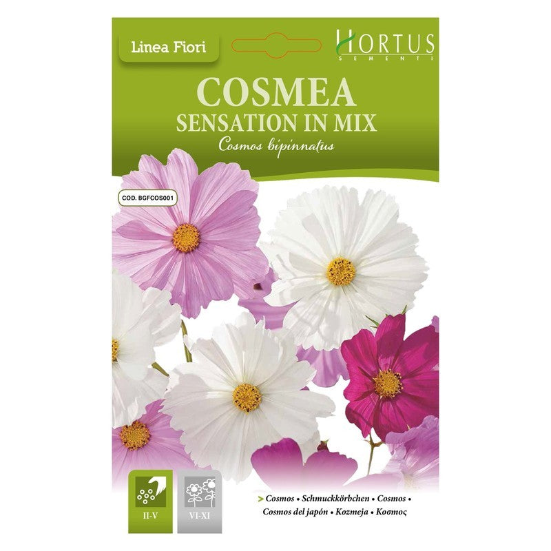 Cosmea Sensación mezcla DB