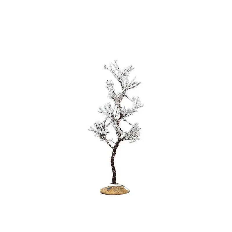 Albero Rugiada del Mattino piccolo 8 × 8 × H16,5 cm