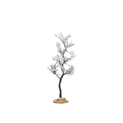 Albero Rugiada del Mattino piccolo 8 × 8 × H16,5 cm