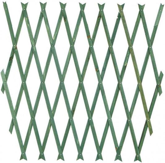 Extendable green wooden trellis 100x200 cm