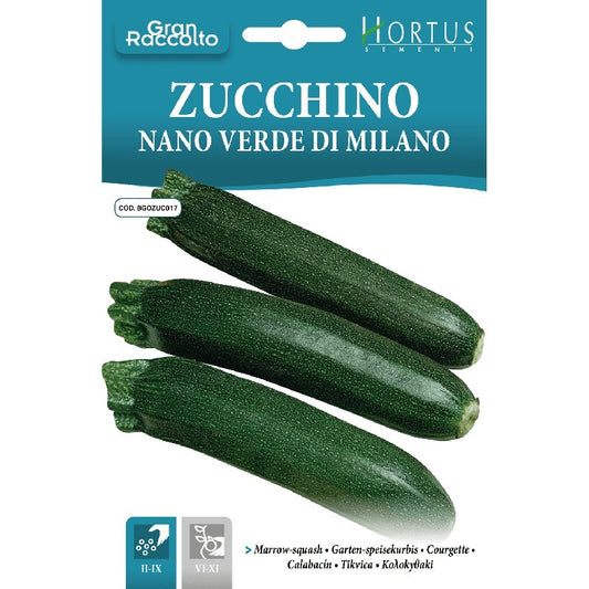 Zwerggrüne Zucchini von Milan Gran Raccolto