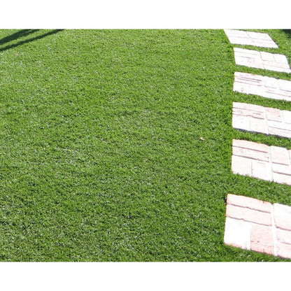 Tappeto Erba Sintetica 25 MM 2x25 MT - Prato Finto per Giardino e Terrazzo