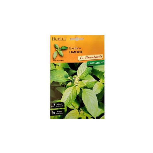 Extraordinary lemon basil
