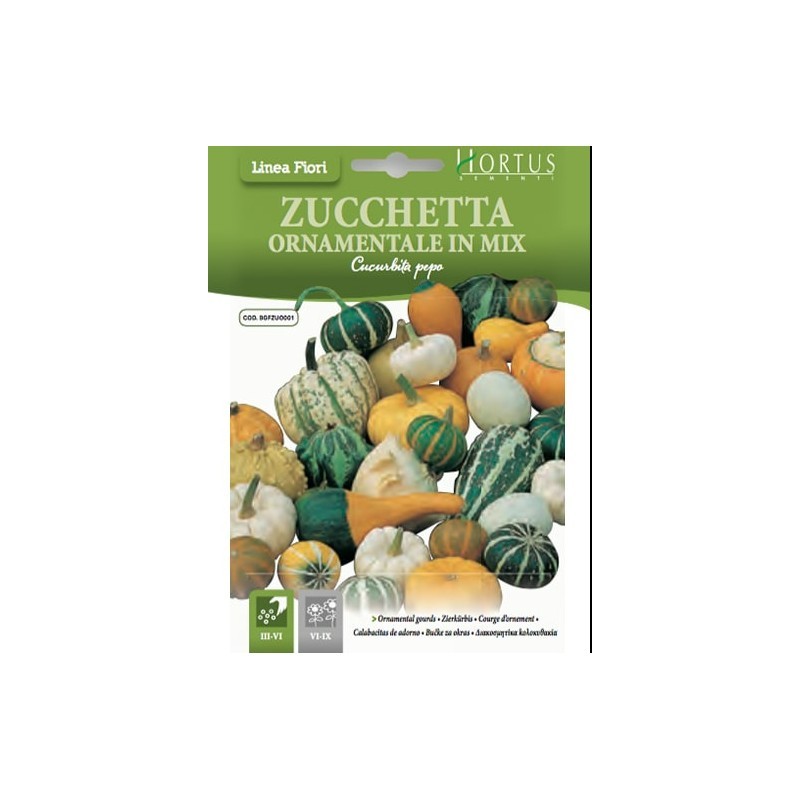 Zucchetta Ornamentale mix DB