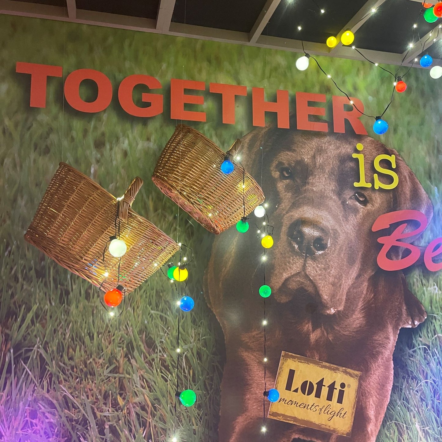 Catena luminosa 4x10m con 25 lampadine