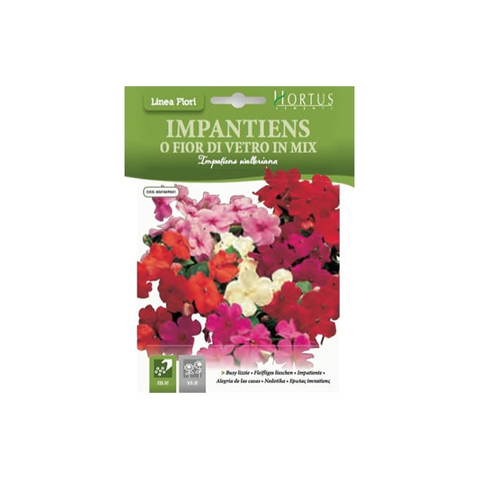 Impatiens or glass flower mix DB
